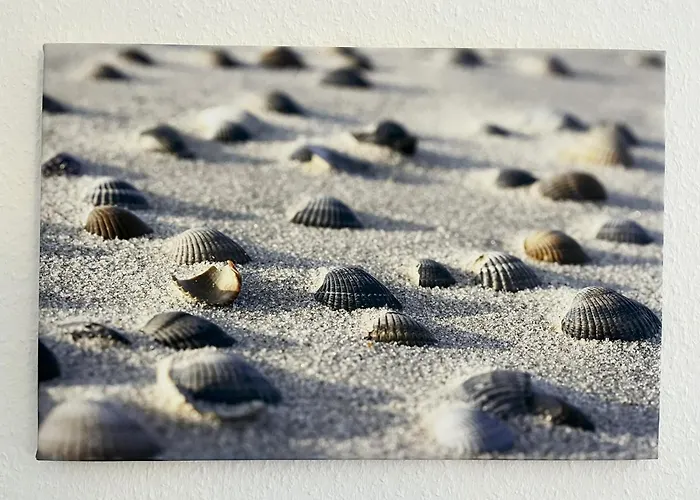 Thiede 1 Appartamento *